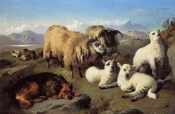 Sheep 191, unknow artist